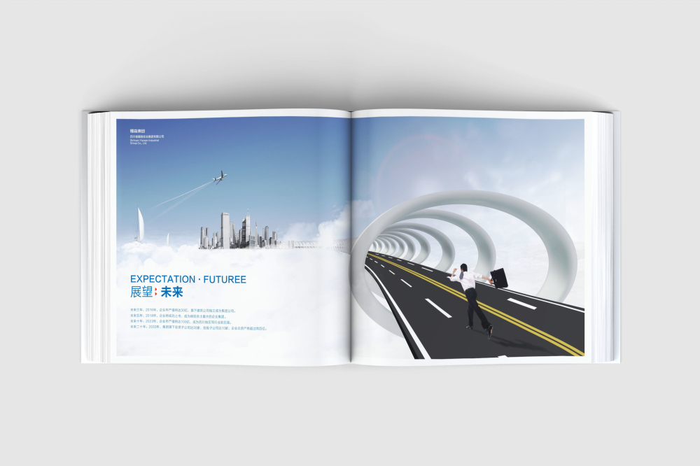 景洪市画册设计